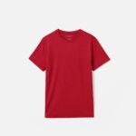 Men's Merino Crew Neck T-Shirt